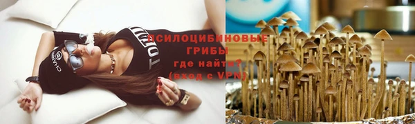 ешки Магадан