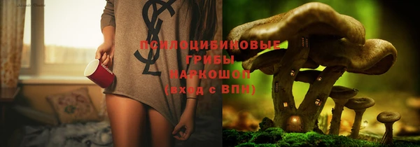 спайс Майский