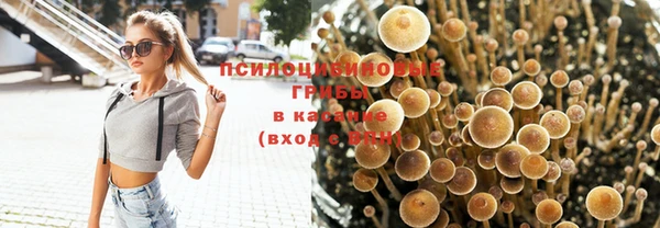 спайс Майский